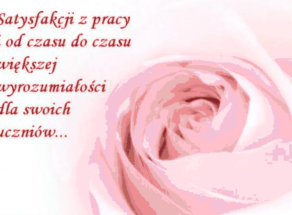 Jasno różowa róża satysfakcji z pracy